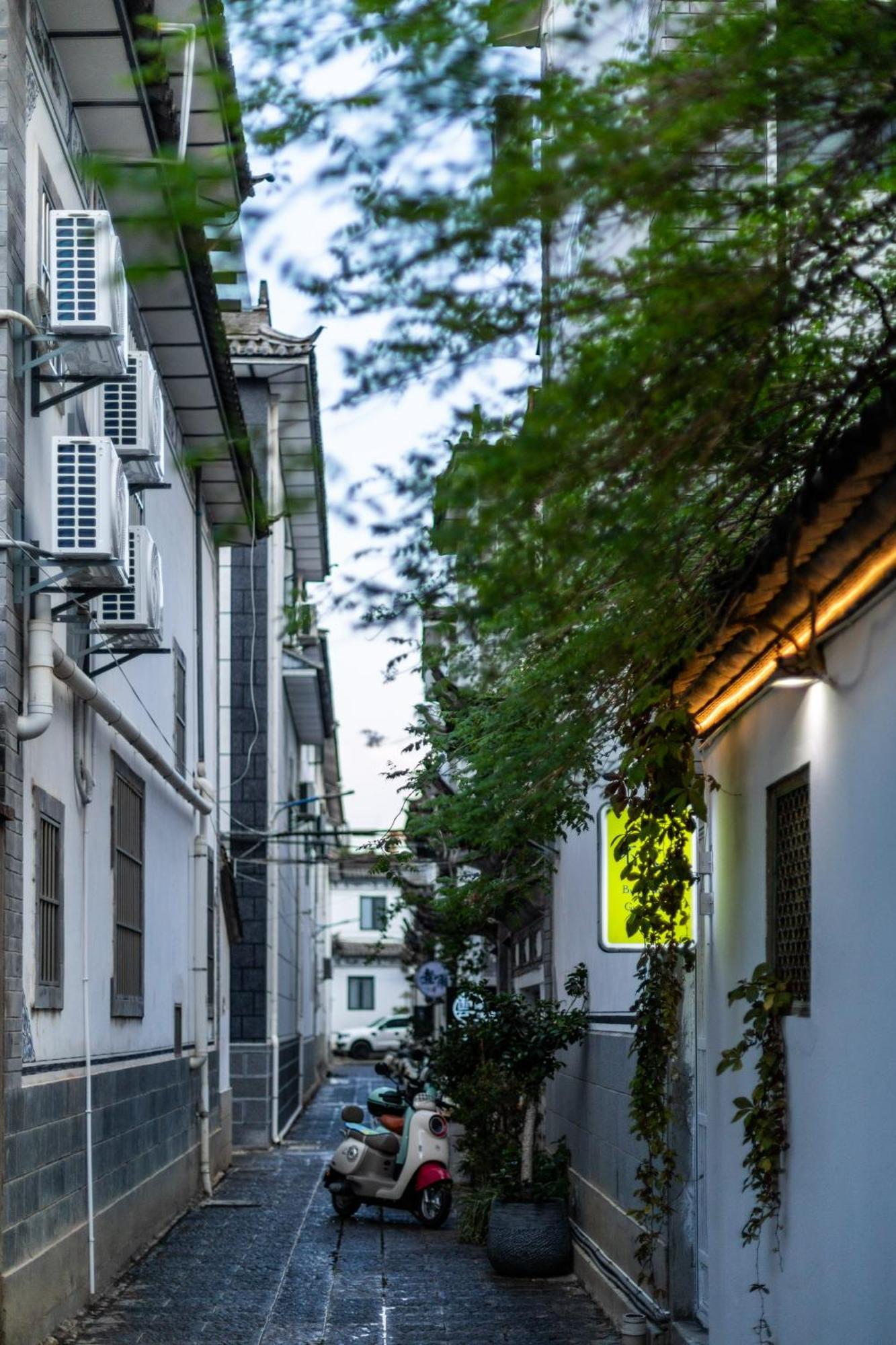 Dali Buxianshan Boutique Guesthouse-In Dali Ancient City,Near Three Pag Odas And Erhai Lake,Provide Tour Guide Service And Local Experience Buitenkant foto